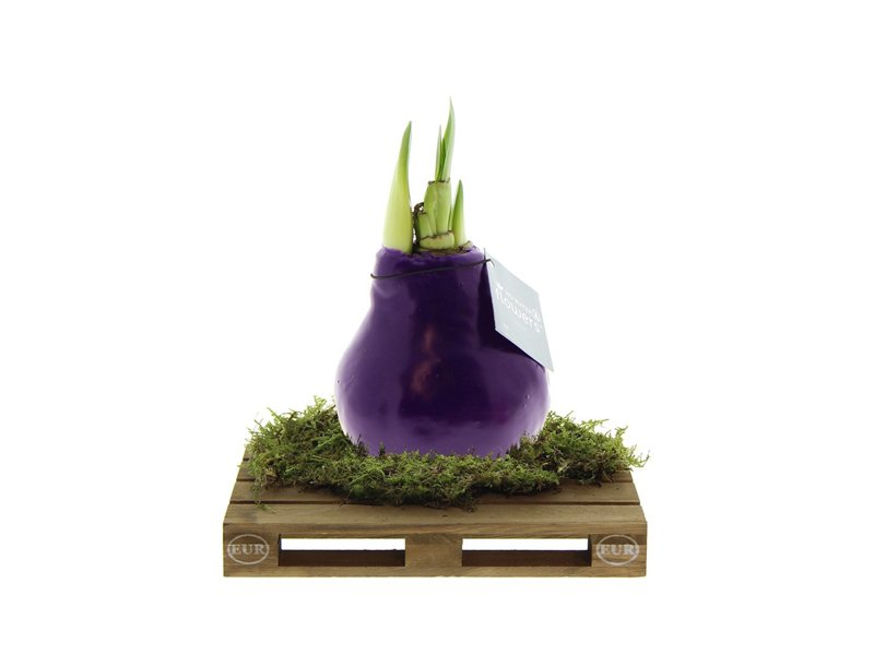 No Water Flowers® - Waxz® on pallet No Water Flowers® - Waxz® on pallet