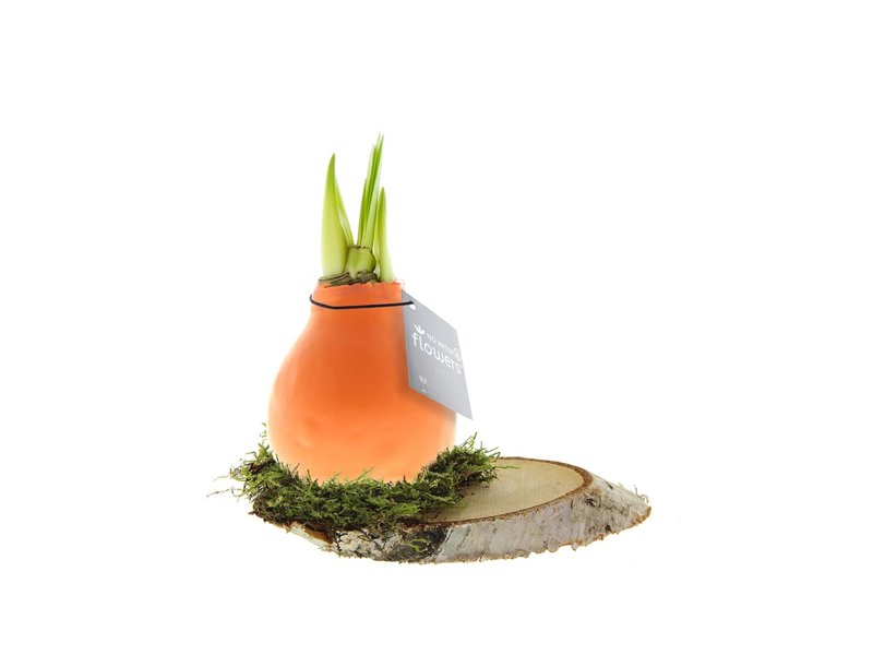 No Water Flowers® - Waxz® on wood No Water Flowers® - Waxz® on wood