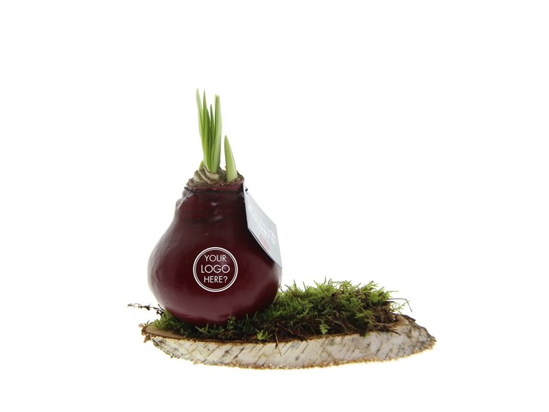 No Water Flowers® - Waxz® on wood No Water Flowers® - Waxz® on wood