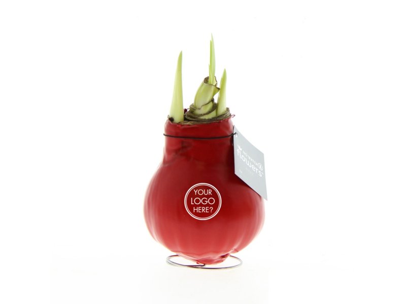 No Water Flowers® - Waxz® Colours No Water Flowers® - Waxz® Colours