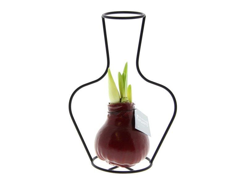 No Water Flowers® - Formz classic No Water Flowers® - Formz classic