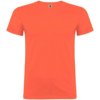 Roly kindershirt Beagle