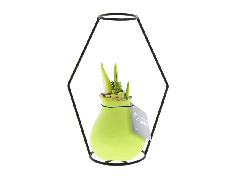 No Water Flowers® - Formz modern No Water Flowers® - Formz modern