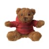 Teddybeer met hooded shirt: Leuk met uw logo