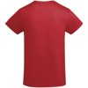 Roly t-shirt kids Breda Roly t-shirt kids Breda