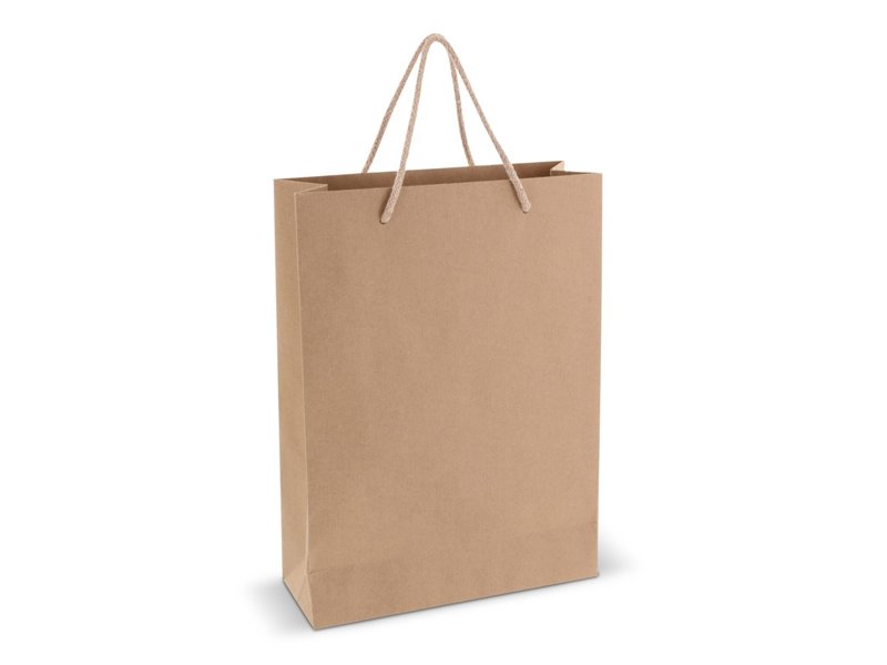 Papieren geschenktas 120g/m² 24x12x33cm
