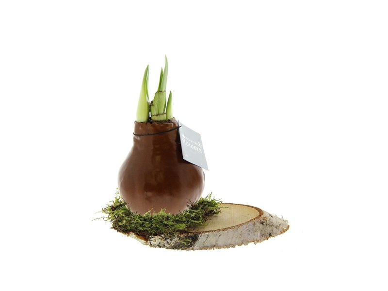 No Water Flowers® - Waxz® on wood No Water Flowers® - Waxz® on wood