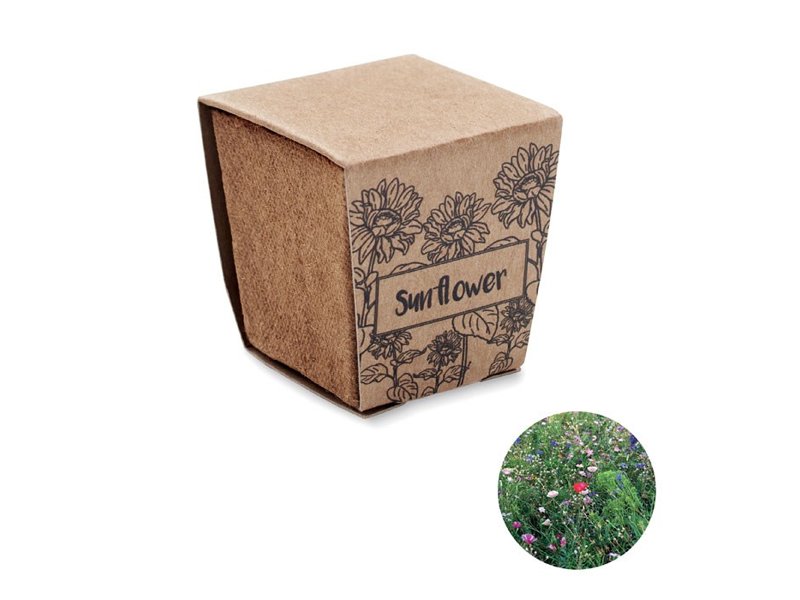SUNFLOWER KIT