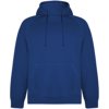 Roly unisex Vinson hoodie
