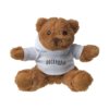 Teddybeer met hooded shirt: Leuk met uw logo