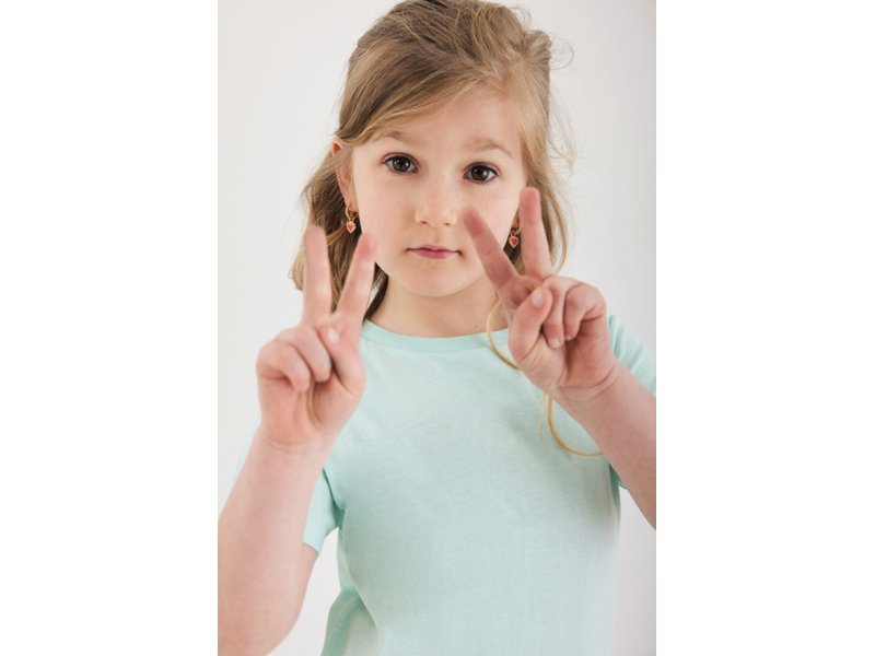 Iqoniq kinder t-shirt Koli Iqoniq kinder t-shirt Koli