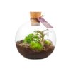 Wardians® ecosysteem - Bowl small