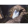 Drybag 5 L waterdichte tas