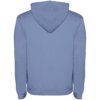 Roly hoodie Urban voor heren