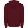 Roly hoodie Urban voor heren