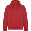 Roly unisex Vinson hoodie