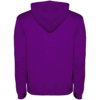 Roly hoodie Urban voor heren