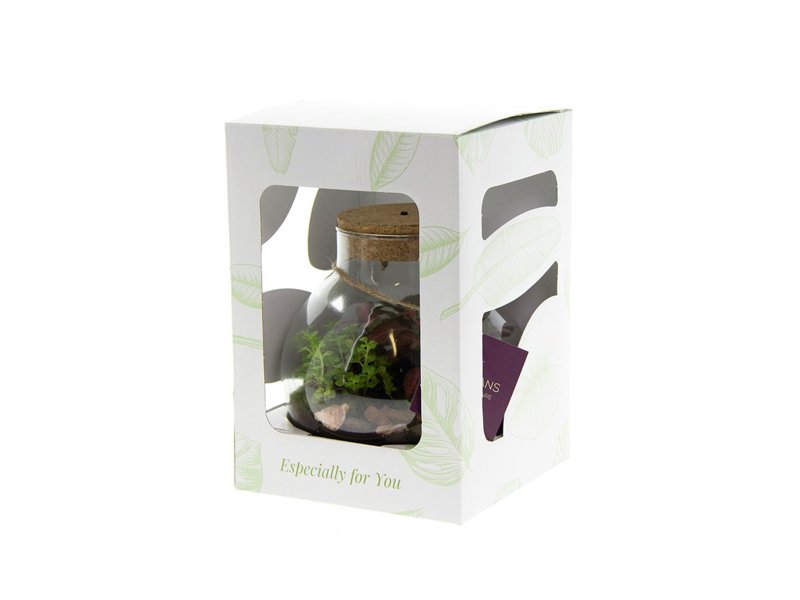 Wardians® ecosysteem - Bowl medium