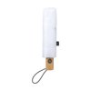 Michigan opvouwbare RPET paraplu 21 inch Michigan opvouwbare RPET paraplu 21 inch