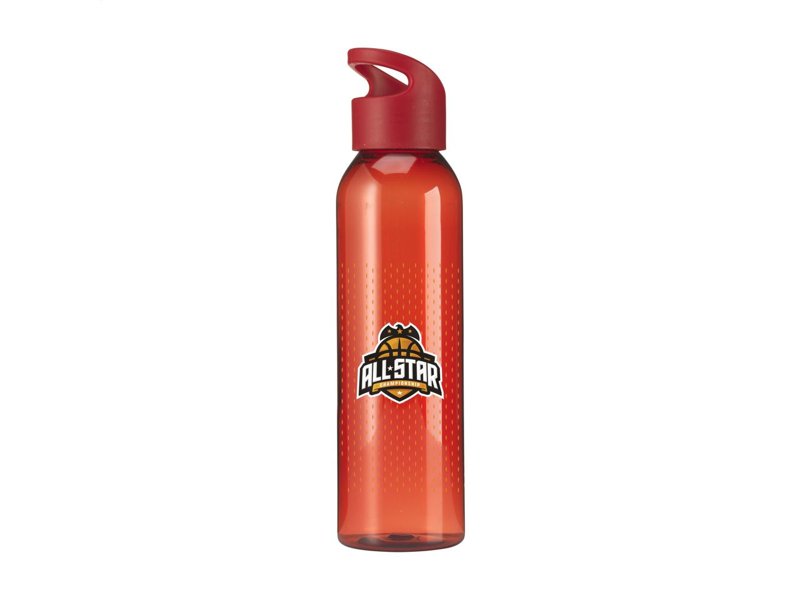 Sirius RPET 650 ml drinkfles