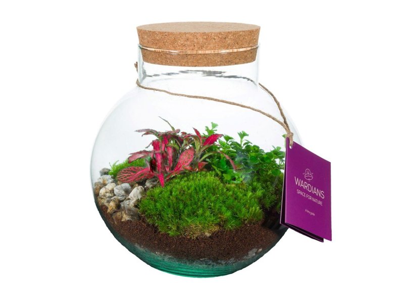 Wardians® ecosysteem - Bowl medium