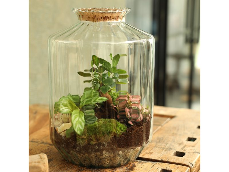 Wardians® ecosysteem - Stripe large