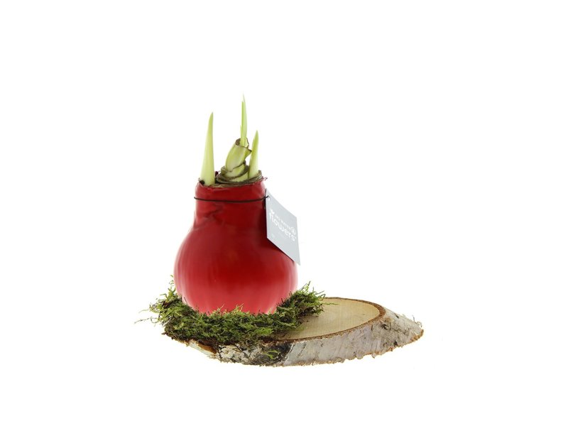 No Water Flowers® - Waxz® on wood No Water Flowers® - Waxz® on wood