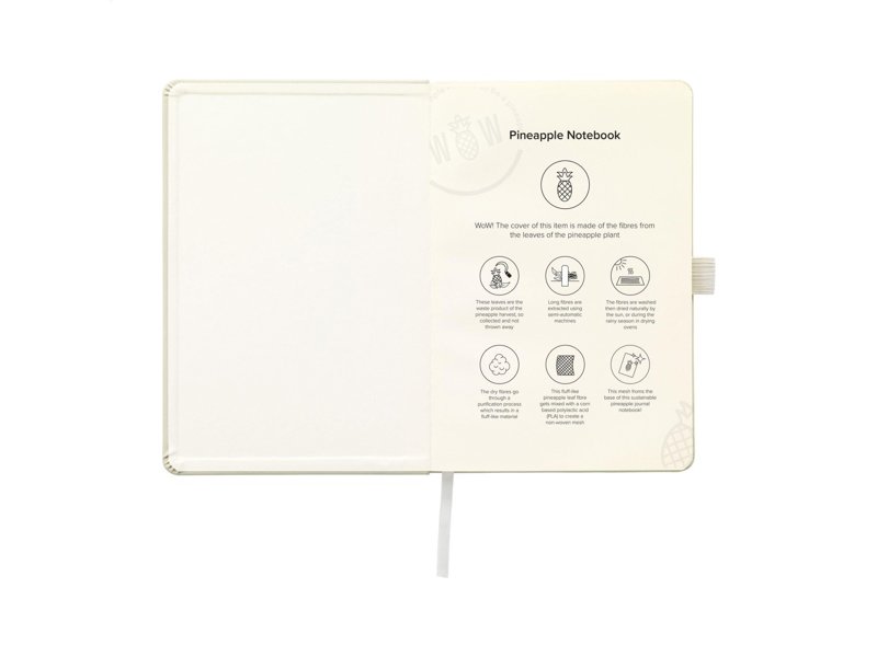 Pineapple Notebook A5 notitieboek