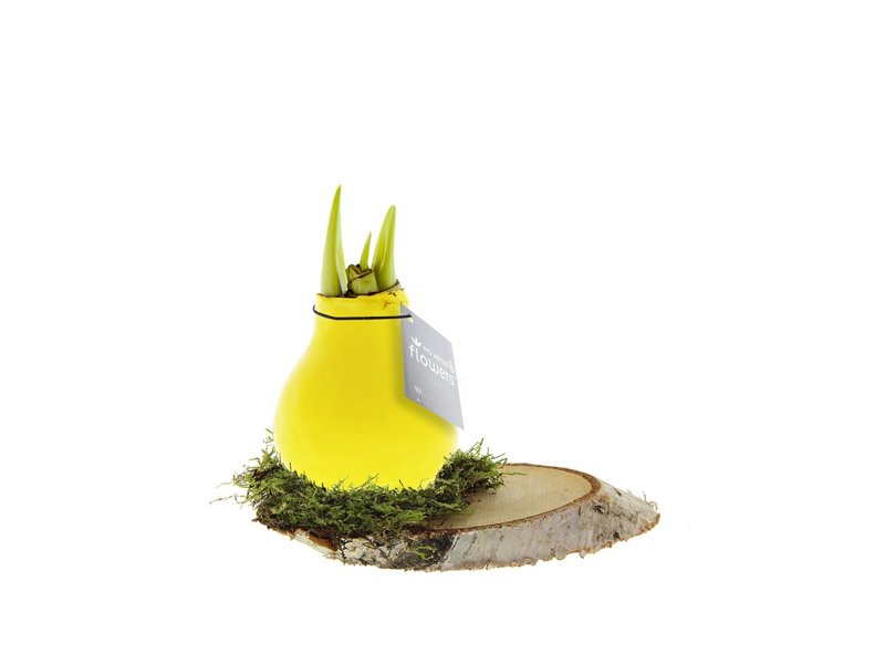 No Water Flowers® - Waxz® on wood No Water Flowers® - Waxz® on wood